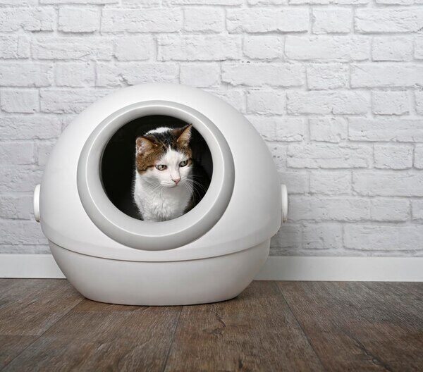 Automatic Cat Litter Boxes