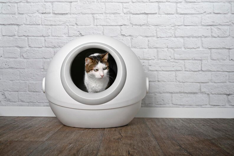 Automatic Cat Litter Boxes